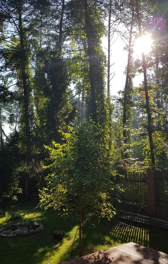 Werbena&mięta Serpelice